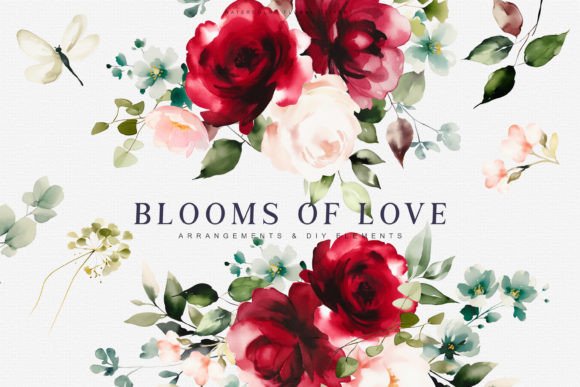 Download Watercolor Burgundy Blush Flowers Set - Flowers Collection